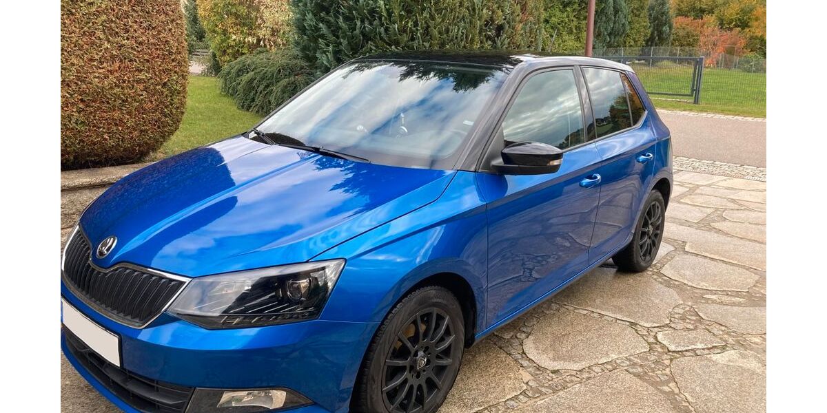 Skoda Fabia 59.000 km 10.600 &euro; Floß 92685