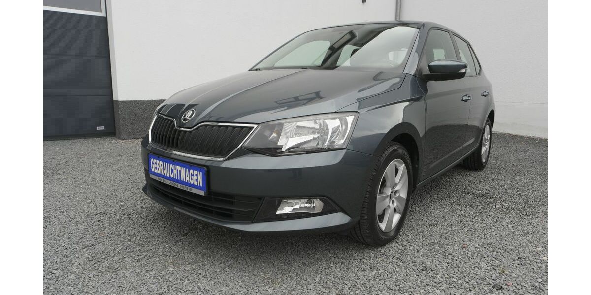 Skoda Fabia 42.000 km 12.700 &euro; Erbach 64711