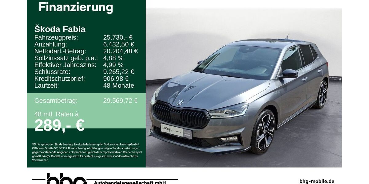 Skoda Fabia 22.028 km 25.730 &euro; Lörrach 79540