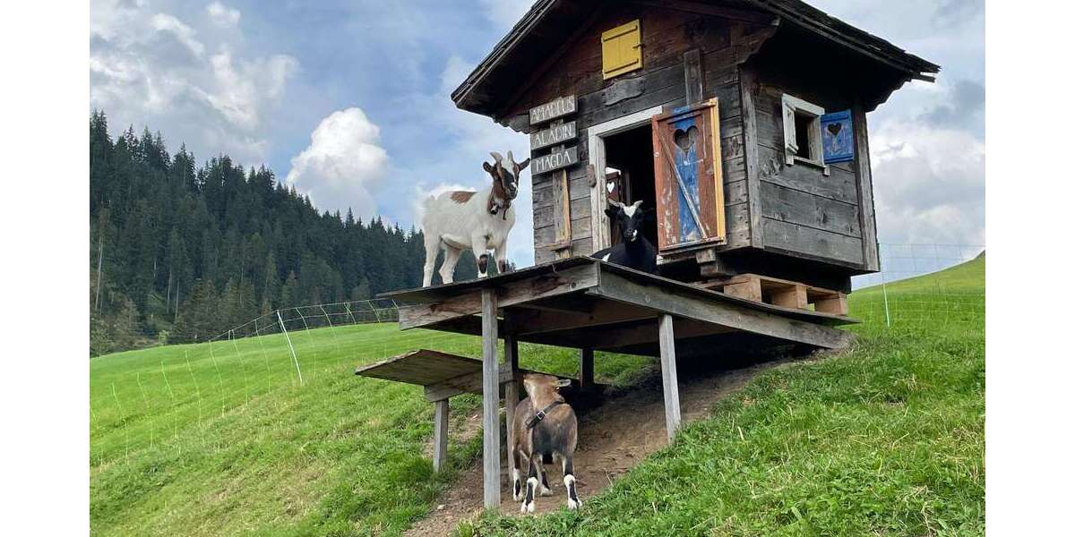 Grundstück Schönau - 177.000&euro; | Angebot:24711330