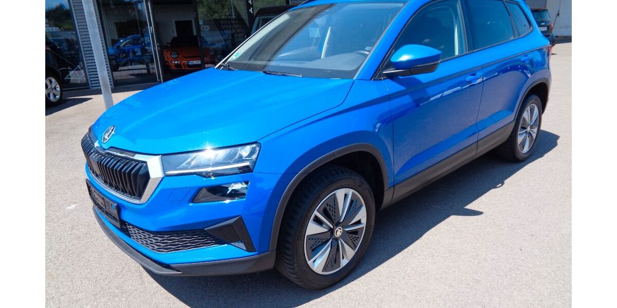 Skoda Karoq 119.000 km 21.000 &euro; Lebach 66822