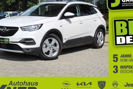 Opel Grandland (X) 30.523 km 20.900 € Hof 95032