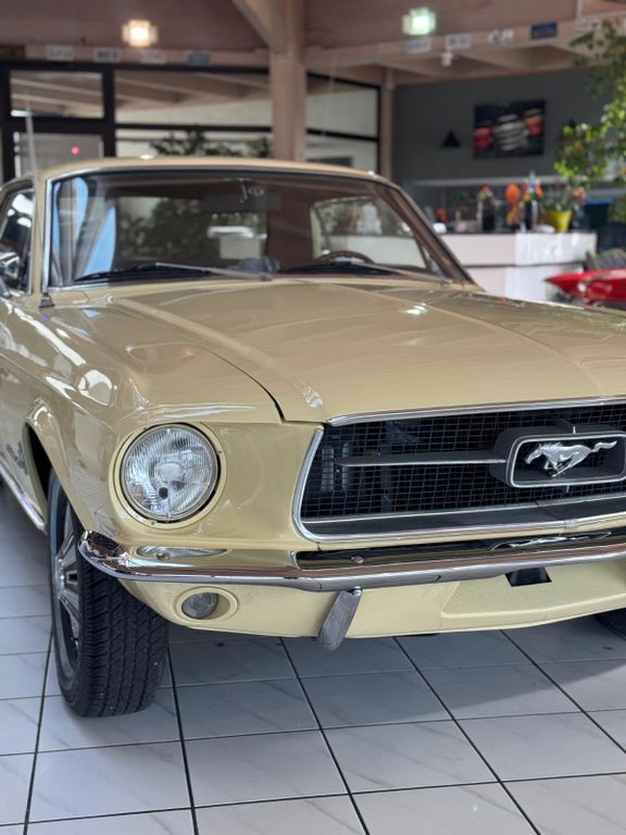Mustang
