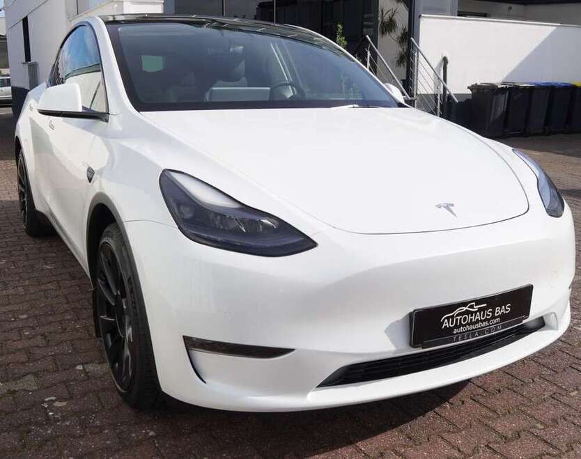 Model Y