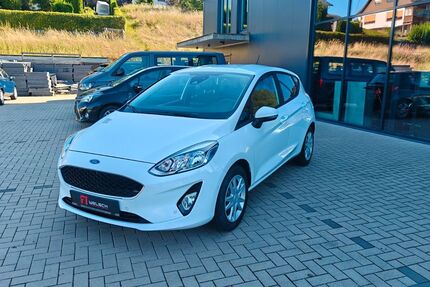 Ford Fiesta 82.136 km 9.800 &euro; Mittenaar 35756
