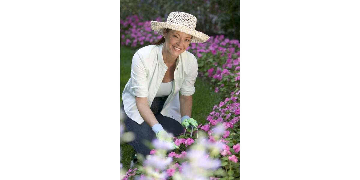 Grundstück Friedewald - 60.000&euro; | Angebot:20191053