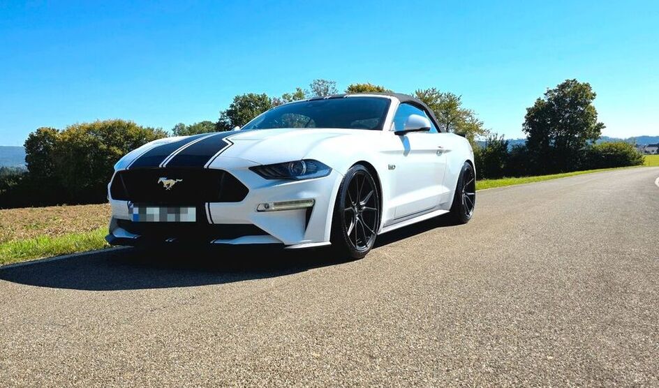 Mustang