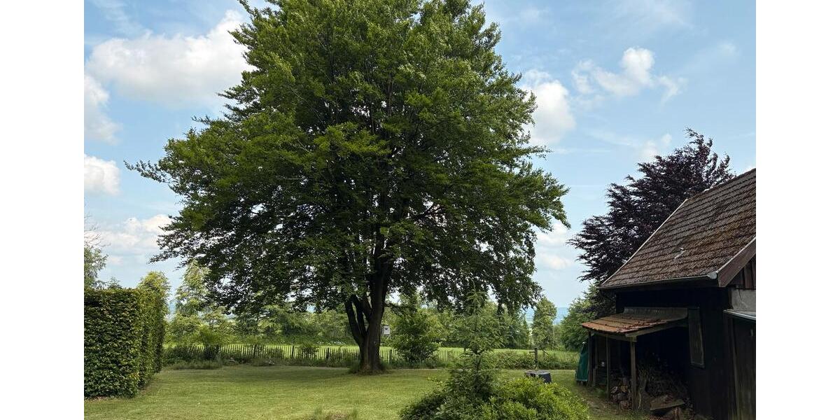Einfamilienhaus Monschau - 4 Zimmer, 68 m&sup2;, 221.000&euro; | Angebot:26339811