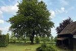 Einfamilienhaus Monschau - 4 Zimmer, 68 m&sup2;, 221.000&euro; | Angebot:26339811