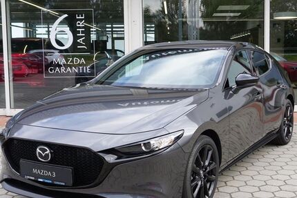 Mazda 3 2.300 km 26.950 € Cham 93413