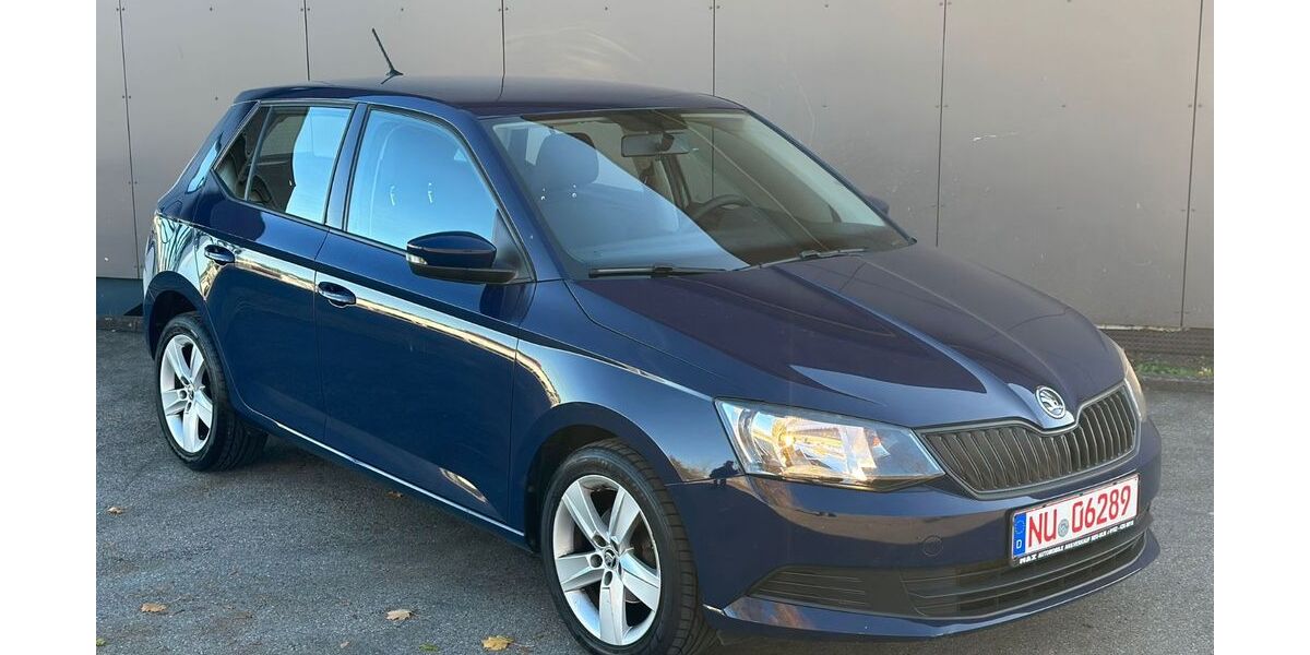 Skoda Fabia 170.000 km 5.300 € Neu-Ulm 89231