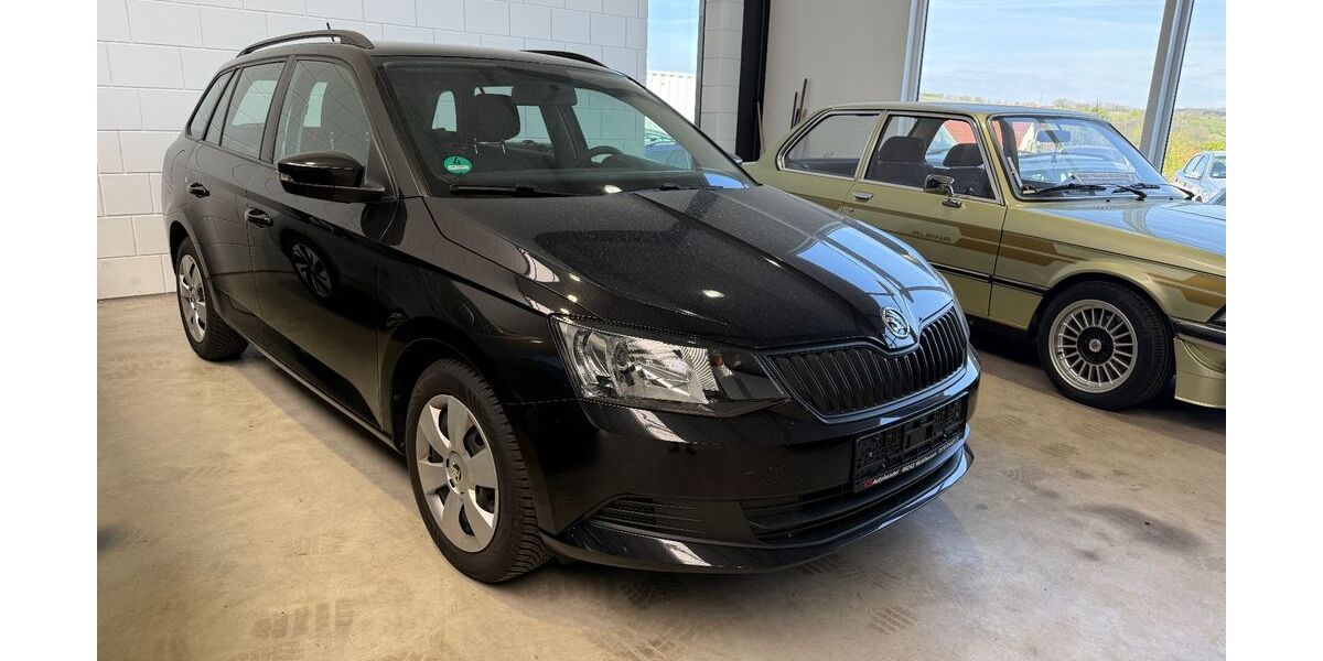 Skoda Fabia 76.500 km 9.490 &euro; Mühlhausen 69242