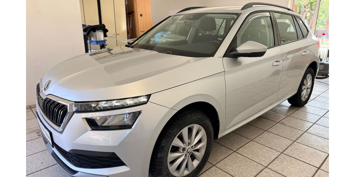 Skoda Kamiq 100.000 km 15.999 &euro; Geesthacht (bei Hamburg) 21502