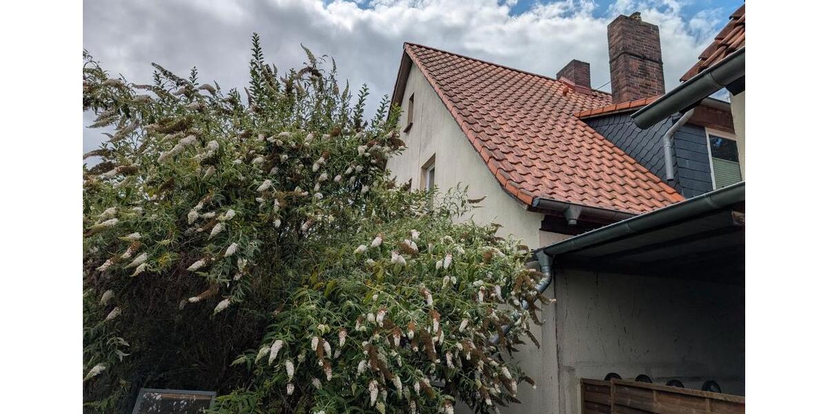 Einfamilienhaus Nienburg (Weser) - 9 Zimmer, 200 m&sup2;, 620.000&euro; | Angebot:27093231