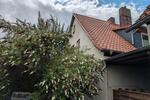 Einfamilienhaus Nienburg (Weser) - 9 Zimmer, 200 m&sup2;, 620.000&euro; | Angebot:27093231