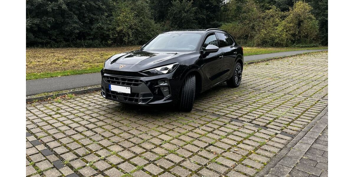 Cupra Terramar 5.000 km 43.800 &euro; Geseke 59590