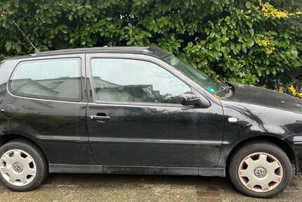 VW Polo 150.000 km 800 &euro; Hannover 30657