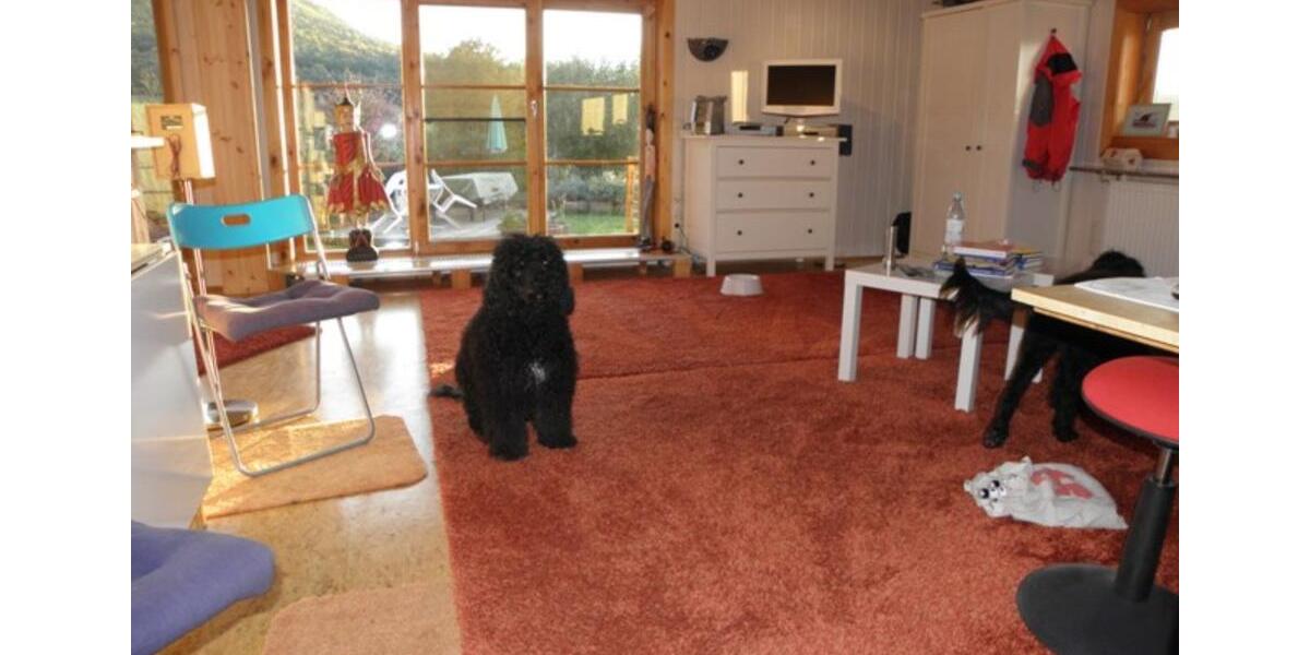 Einfamilienhaus Bad Wildungen - 1 Zimmer, 60 m&sup2;, 80.000&euro; | Angebot:25612572