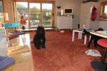 Einfamilienhaus Bad Wildungen - 1 Zimmer, 60 m&sup2;, 80.000&euro; | Angebot:25612572