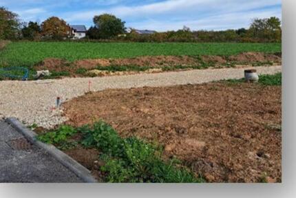 Haus Adelsdorf - 7 Zimmer, 157 m&sup2;, 499.850&euro; | Angebot:25416838