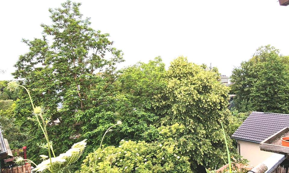 Dachgeschoßwohnung Neuwied - 2.5 Zimmer, 55 m&sup2;, 120.000&euro; | Angebot:26868425