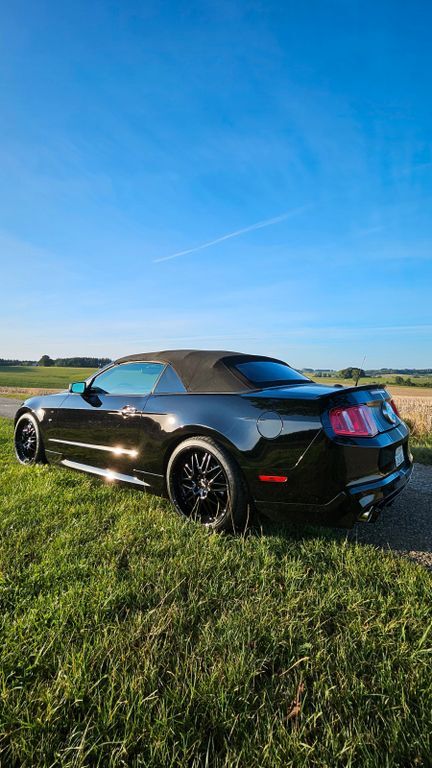 Mustang