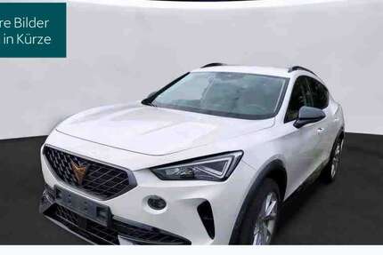 Cupra Formentor 48.266 km 23.840 &euro; Hofheim 65719