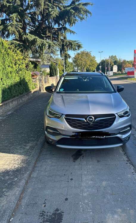 Opel Grandland X 105.500 km 13.500 € Bodenheim 55294
