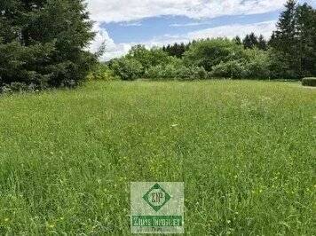 Grundstück Prüm - 91.000&euro; | Angebot:26187753
