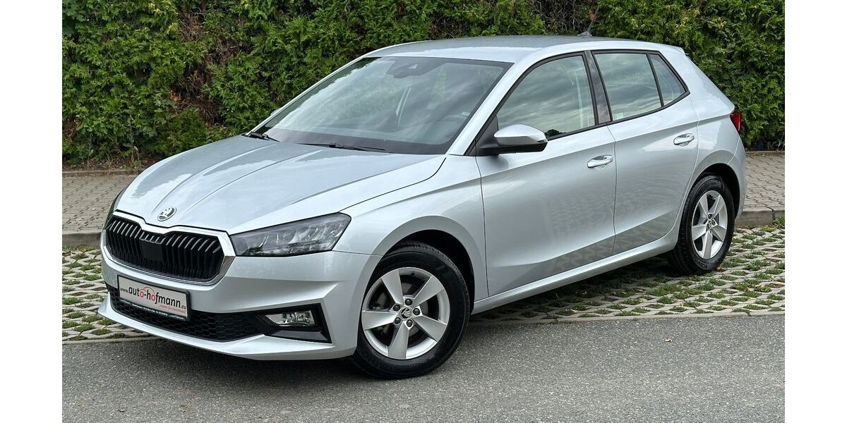 Skoda Fabia 15.967 km 17.270 &euro; Wallenfels 96346