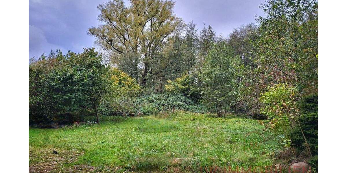 1.303 m² Baugrundstück mit vielseitigem Entwicklungspotenzial für 5 WE in Glinde zimmer