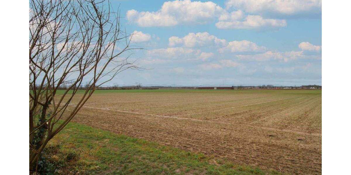 Investitionschance: Großes Bauerwartungsland in Kandel mit ca. 27.743 m² Fläche zimmer