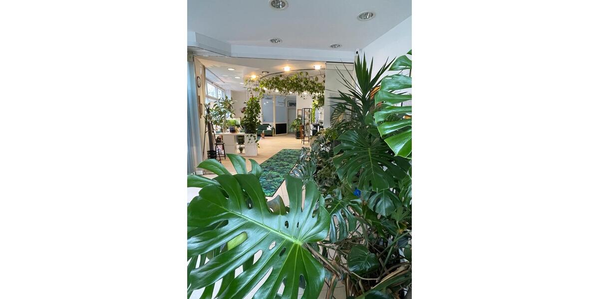 Gewerbeobjekt Velten - 700&euro; | Angebot:26244567