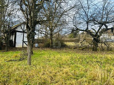 EXKLUSIVER RAUM MIT POTENZIAL - Grundstück Buttenheim | Angebot:26993955
