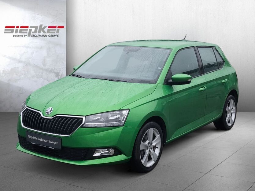 Skoda Fabia 38.590 km 12.990 € Homburg 66424