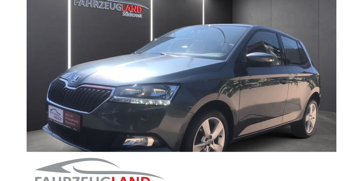 Skoda Fabia 98.600 km 8.190 &euro; Müllheim 79379