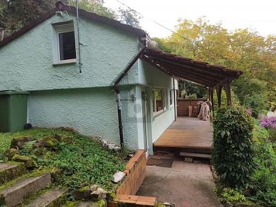 ROHDIAMANT - NATURGUNDSTÜCK MIT BESTAND - Grundstück Gerlingen | Angebot:26008061