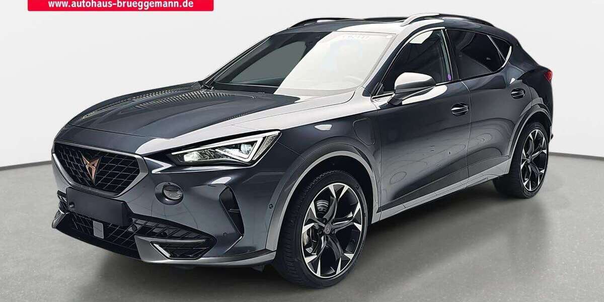 Cupra Formentor 25.190 km 31.890 &euro; Neubrandenburg 17036