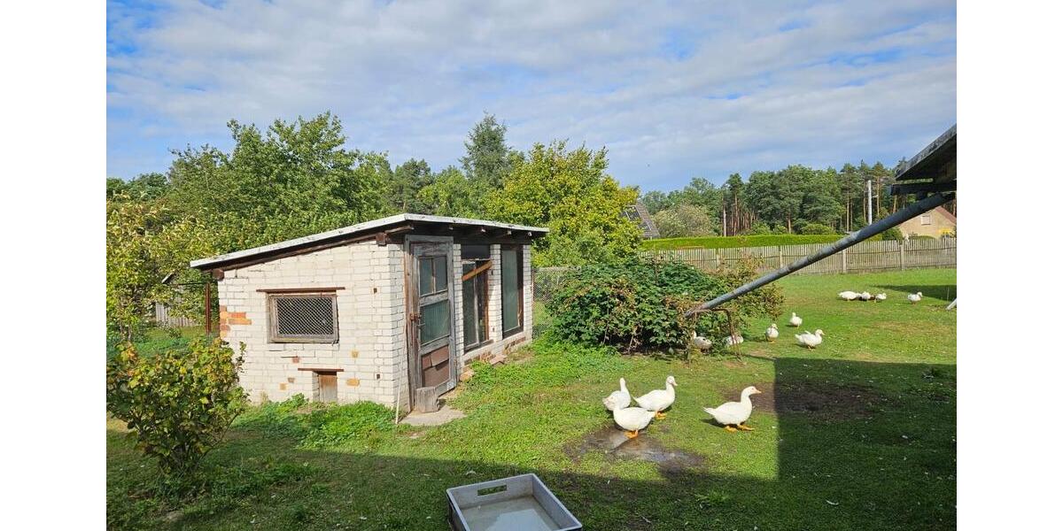 Einfamilienhaus Altdöbern - 4 Zimmer, 886 m&sup2;, 120.000&euro; | Angebot:27463874