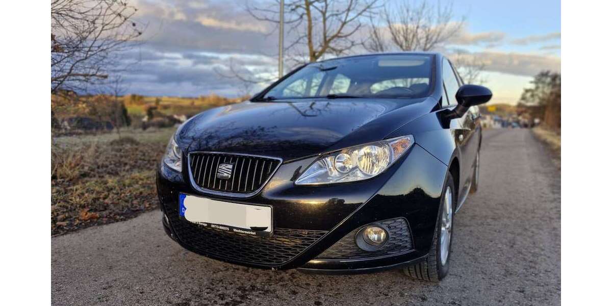 Seat Ibiza 183.000 km 4.750 &euro; Landshut 84036