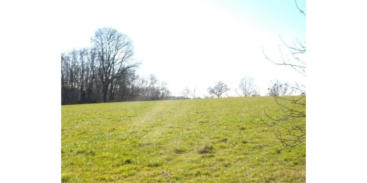 Grundstück Much Loßkittel - 250.000&euro; | Angebot:25038096
