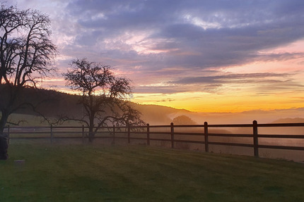 Exklusives Reiteranwesen mit Alpenpanorama – Pferdeparadies mit Perspektive V13084 zimmer