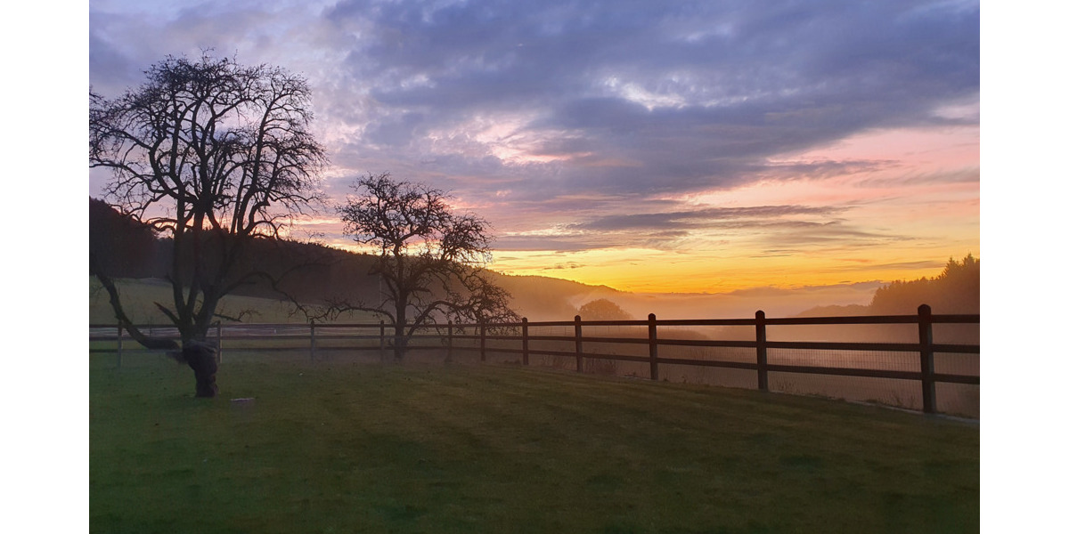 Exklusives Reiteranwesen mit Alpenpanorama – Pferdeparadies mit Perspektive V13084 zimmer