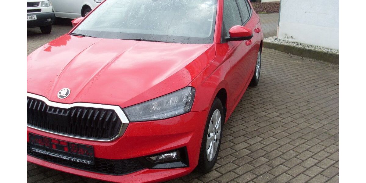 Skoda Fabia 33.100 km 15.850 &euro; Waldheim 04736