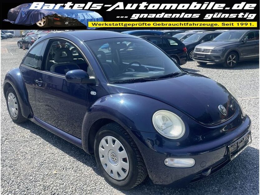 Beetle