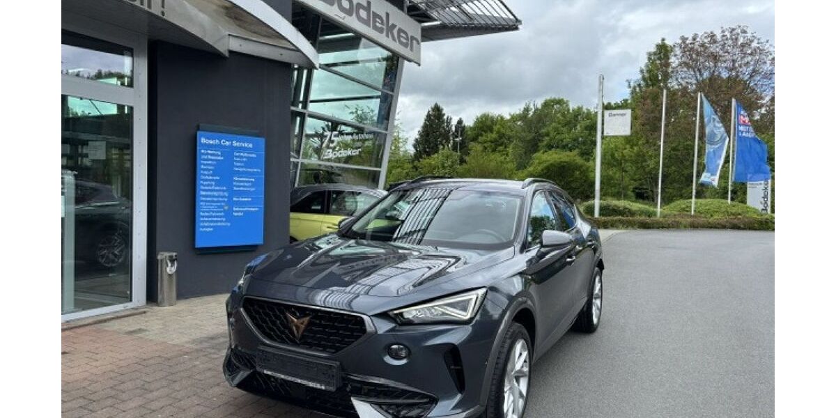 Cupra Formentor 103.462 km 19.490 &euro; Langgöns 35428