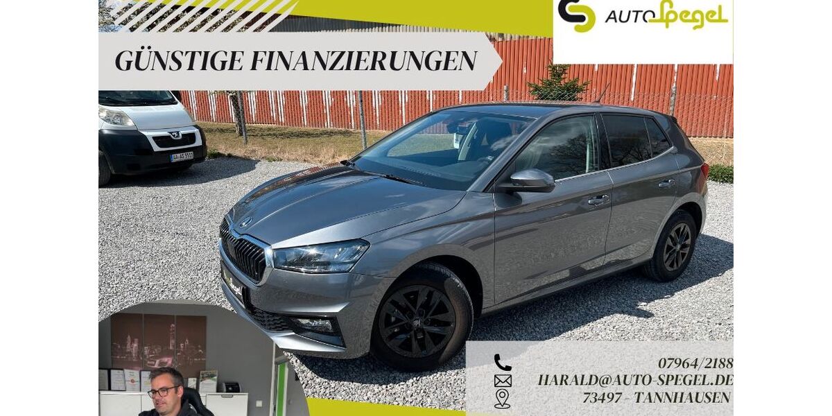 Skoda Fabia 21.046 km 16.390 &euro; Tannhausen 73497