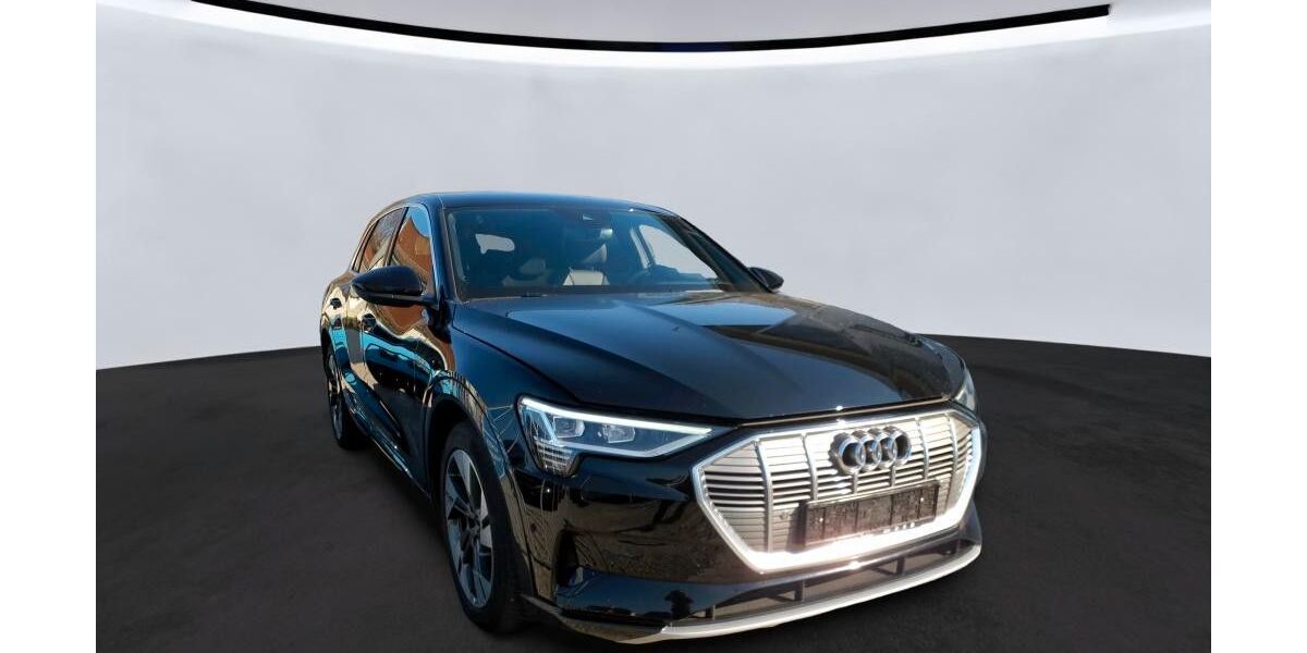 Audi e-tron 44.450 km 34.950 &euro; Salzgitter 38259