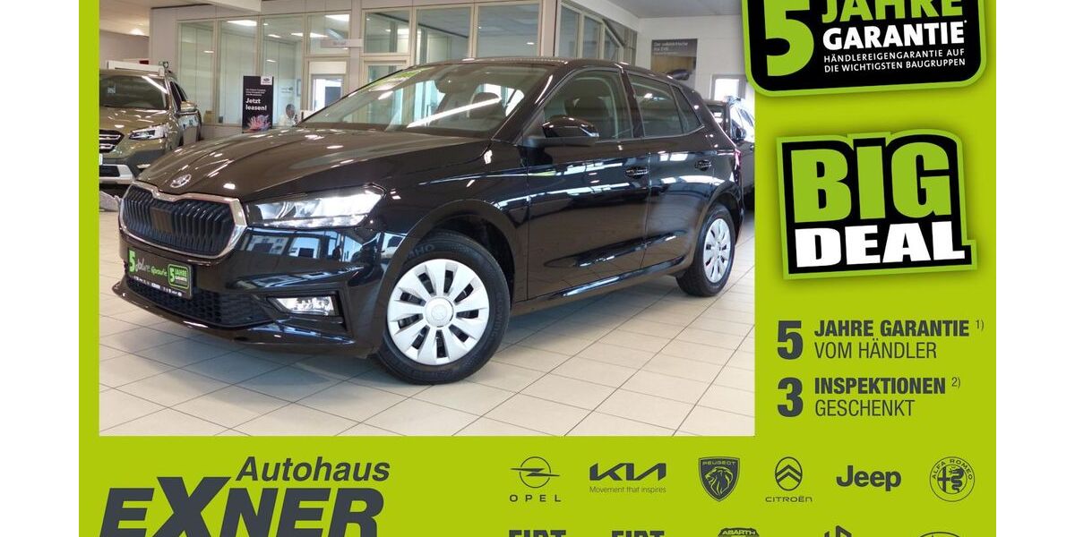 Skoda Fabia 59.880 km 16.990 &euro; Hof 95032