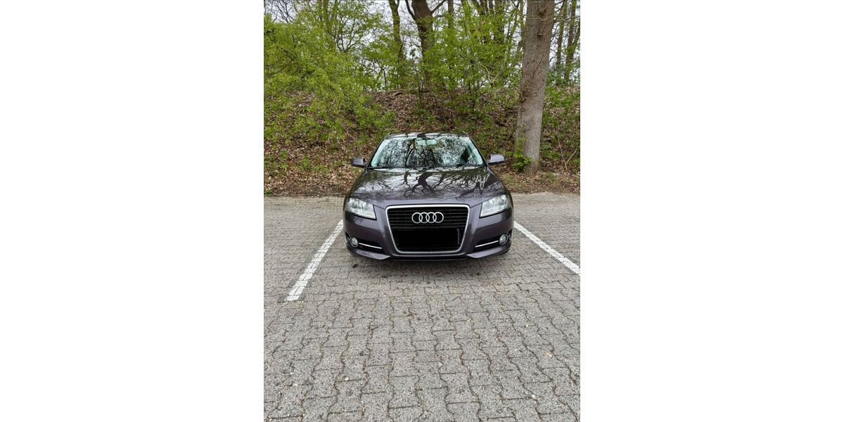 Audi A3 193.617 km 6.100 &euro; Werlte 49757